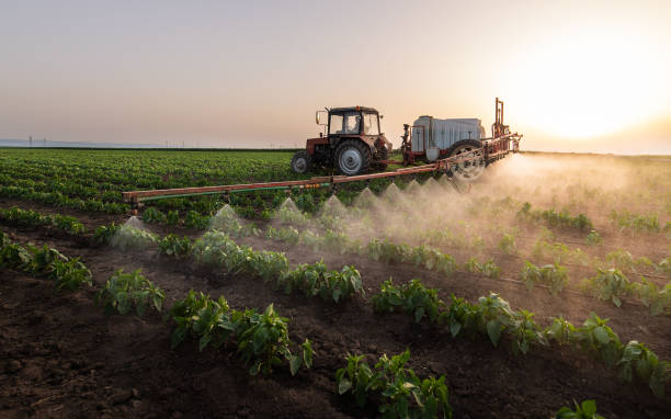 Best Wildlife Control Services  in Casselton, ND