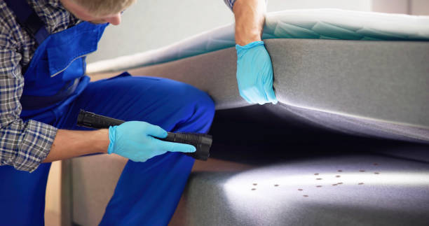 Best Pest Prevention Services  in Casselton, ND