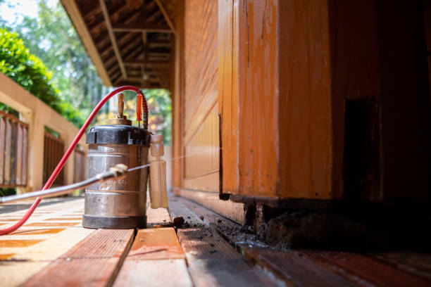 Best Mosquito Control Services  in Casselton, ND