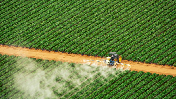 Best Pest Control Treatment  in Casselton, ND