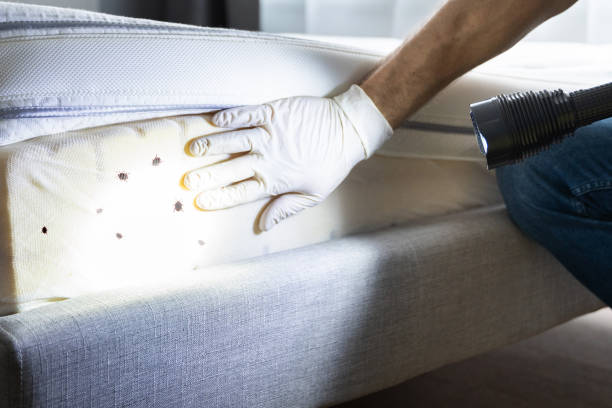 Best Wildlife Control Services  in Casselton, ND