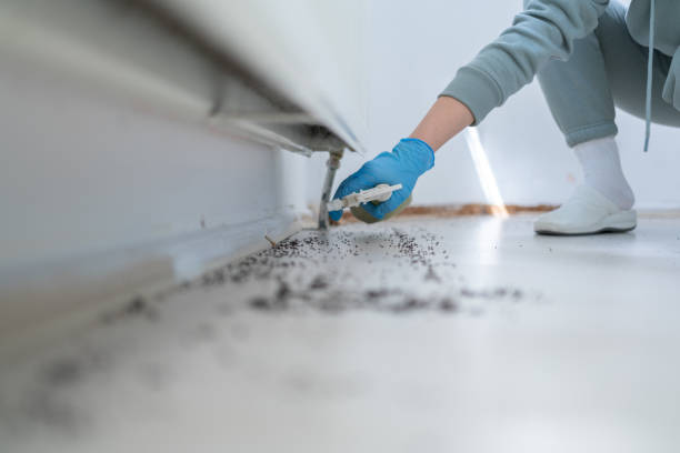 Pest Control Cost in Casselton, ND