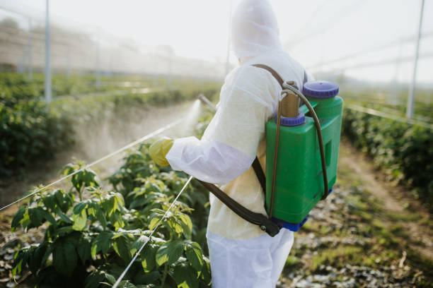Best Affordable Pest Control Services  in Casselton, ND